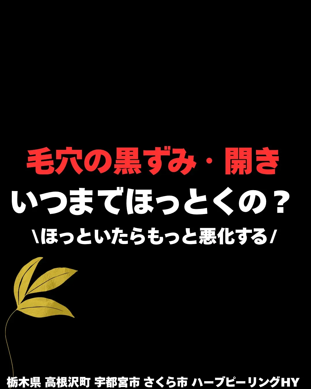 【毛穴の黒ずみ、いつまで見て見ぬふりしますか？】