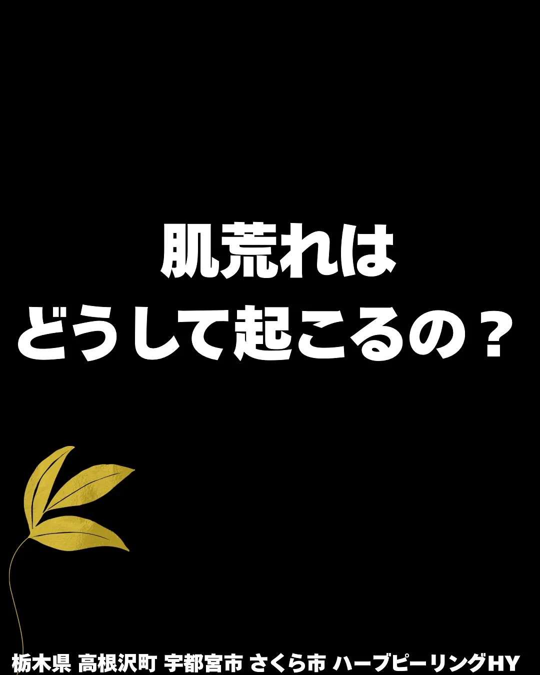 🌀肌荒れって、なんで起きるの？